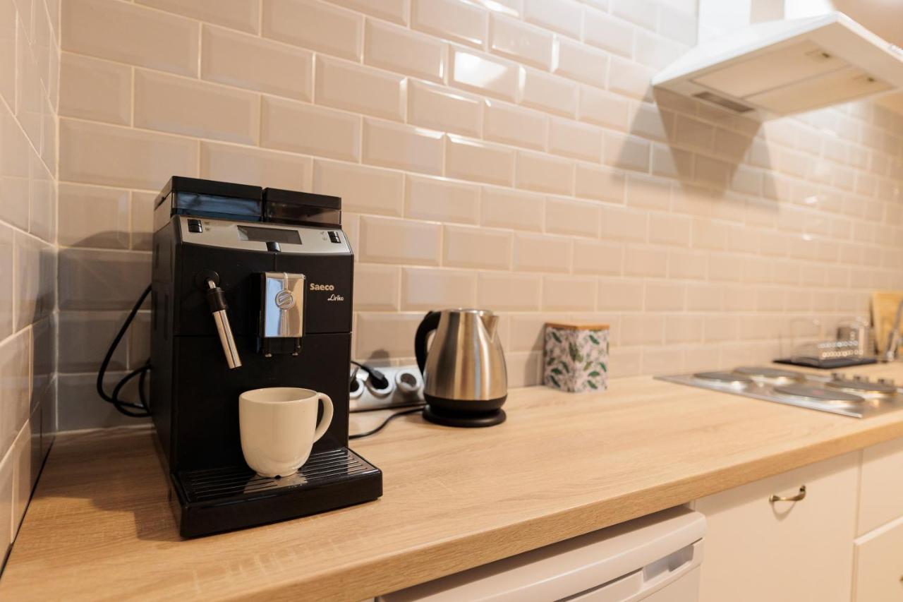 Cozy Apartment In The Historical City Center Timisoara Ngoại thất bức ảnh